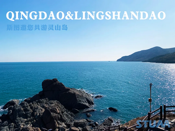 乐鱼邀您共游灵山岛